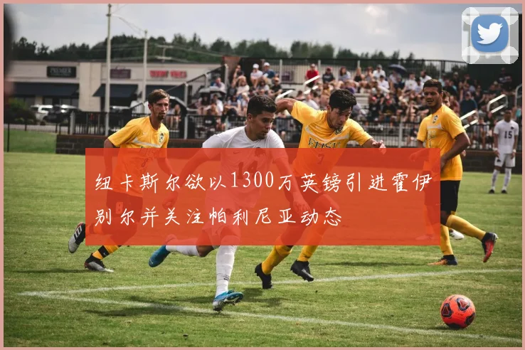 纽卡斯尔欲以1300万英镑引进霍伊别尔并关注帕利尼亚动态